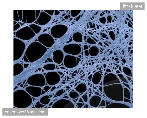 源自实验室培育的生物合成材料（如人造蜘蛛丝、藻类聚合物）将进入商业化应用，彻底摆脱对传统农业原料的依赖